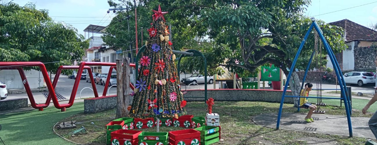 Parque con su arbolito de navidad