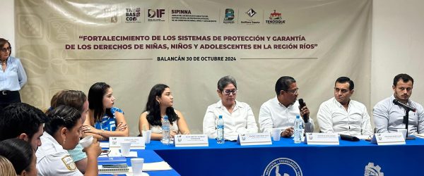 Reunión para fortalecer los sistema de proteccion y garantia de derechos de los niños y adolescentes de la region