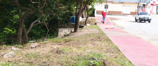 acciones de limpieza en el malecón Nuevo de Tenosique